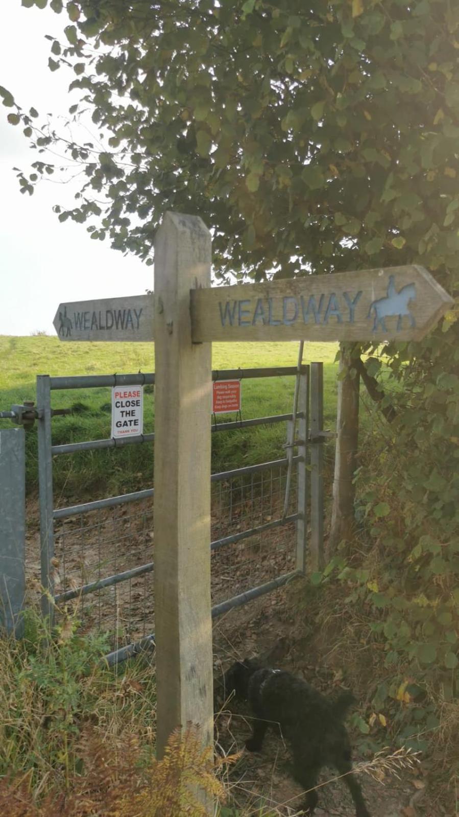 The Guest Suite, Buttsfield Lane. East Hoathly with Halland المظهر الخارجي الصورة